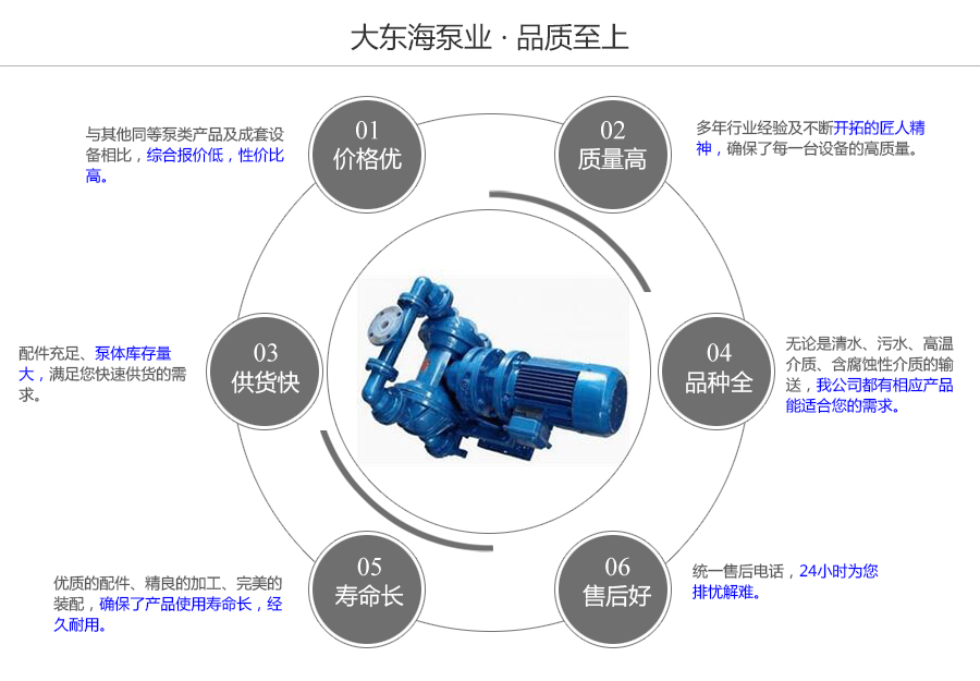 大東海泵業(yè)電動(dòng)隔膜泵質(zhì)量保證圖