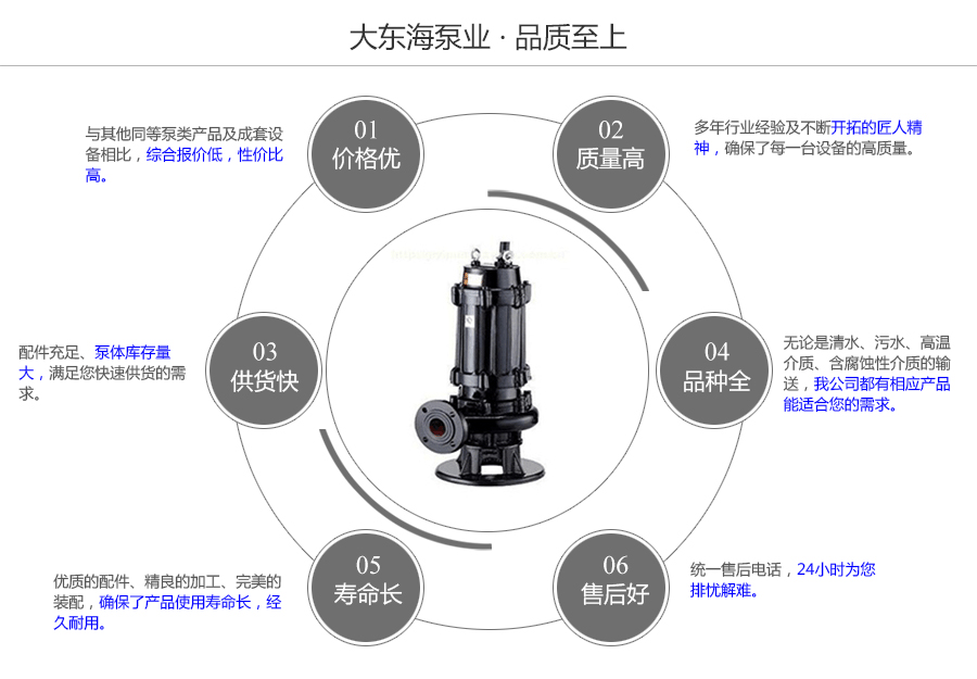 大東海泵業QW型潛水污水泵質量保證圖