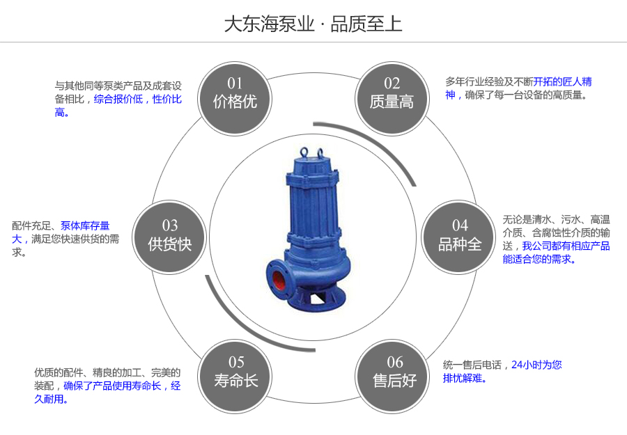 大東海泵業(yè)QW型污水提升泵質(zhì)量保證圖