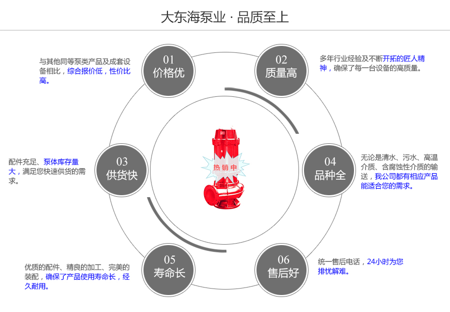 大東海泵業(yè)WQR型熱水潛水排污泵質(zhì)量保證圖